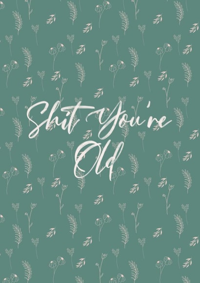 Shit You’re Old created by Rosie Muddimer