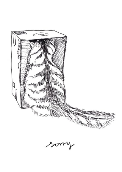 Cat in a Box Sorry Card created by @hobbbins