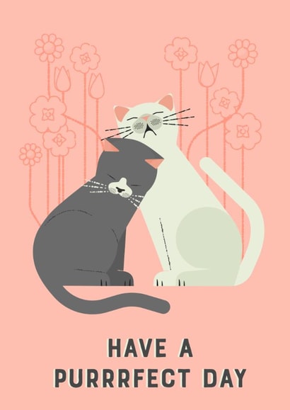 Have a perfect day cat card created by @simonwelchillustration