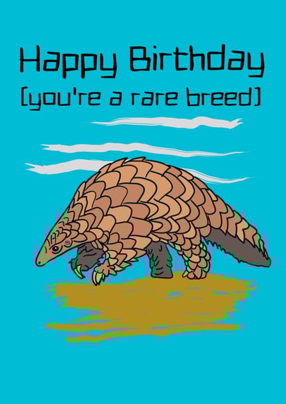 Pangolin birthday card created by JPscribbles