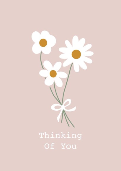 Thinking Of You Daisies created by Alfreda & Alice