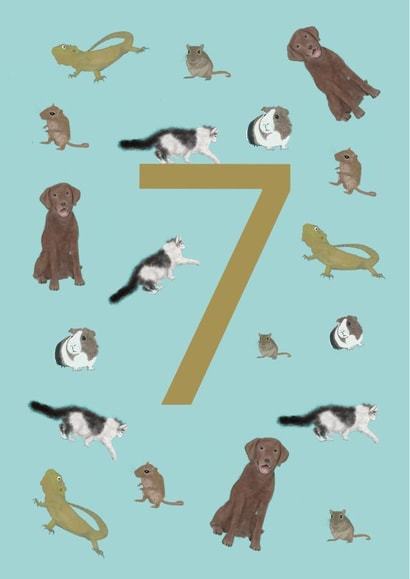 Pets and animals 7th birthday card created by Urban Collie