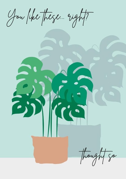 Monstera Swiss Cheese Plant Card created by Diary of a Craft Girl