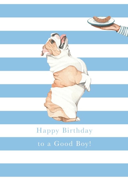 English Bulldog Birthday Card - Birthday Boy created by Paper Maven