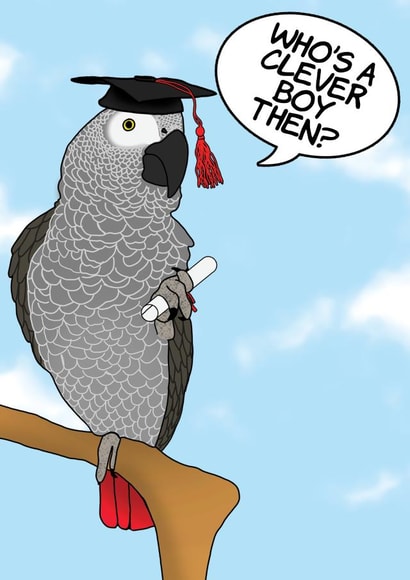 Congratulations Graduation Who's A Clever Boy Then? created by @Cupsie's Creations