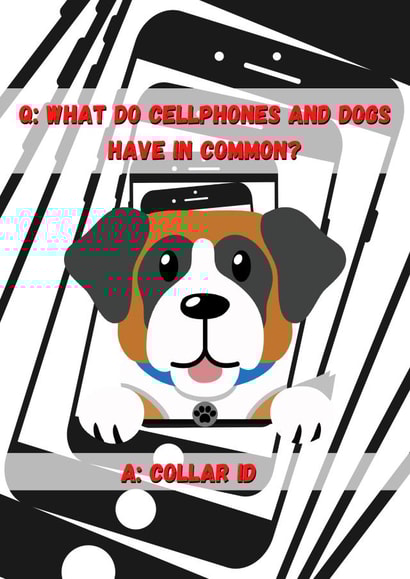Cellphones and dogs. A match made in comedy heaven! created by OMGitsDan