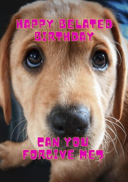 Belated birthday wishes for a dog loving friend. created by OMGitsDan
