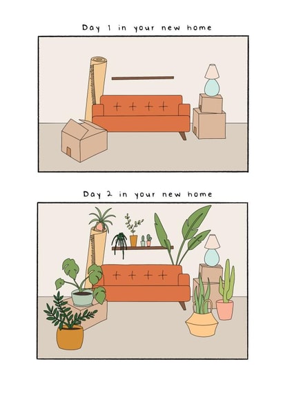 Funny House Plants New Home Card - Trendy Plants - Day 1 In Your New Home Day 2 In Your New Home created by Hey Bungalow Designs