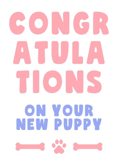 Congratulations on your New Puppy 1001 created by Rambos Packed