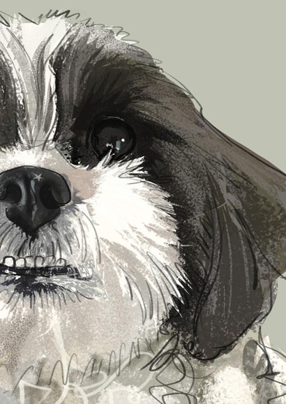 Shih Tzu  Card 1000 created by Higgledy Ink Illustration