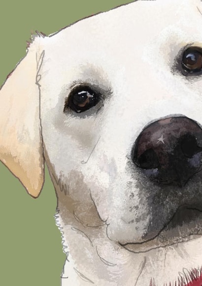 Labrador Card created by Higgledy Ink Illustration