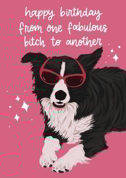 Funny Happy Birthday Card from one Fabulous Bitch to Another created by Arikaa Designs