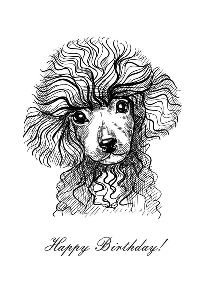 Poodle Sketch Birthday Card created by Anna Manka