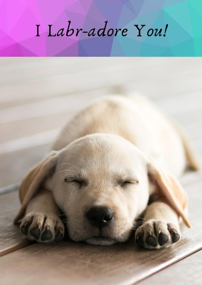 The Labrador  created by JamDesigns