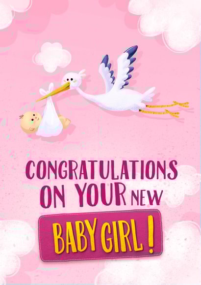 Congratulations on your new baby girl! created by Dibustock