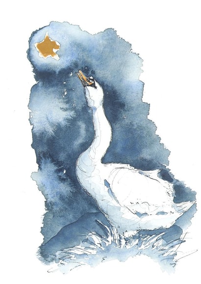 Swan and Star Greetings Card  created by River Swan of Avon 