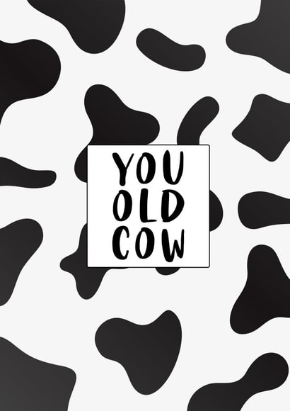 Rude birthday card: You old cow created by Prints With Personality