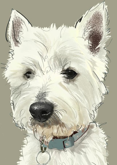 West Highland Terrier Card created by Higgledy Ink Illustration