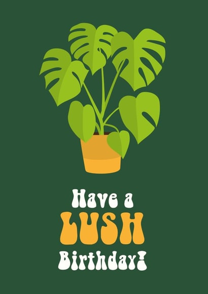 Gorgeous Swiss Cheese Plant Birthday Card created by Cloud Cuckoo Design