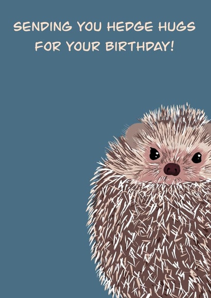 Cute hedgehog Birthday Card perfect for a nature or wildlife lover created by Rae of Sunshine
