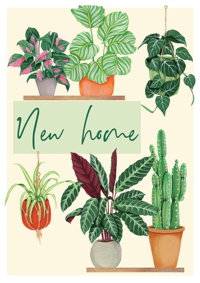 New Home, New House Plants created by Little Greenhouse Greetings