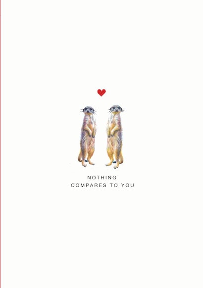 Compare the Meerkat Anniversary Card created by Sage Goodwin Illustrations