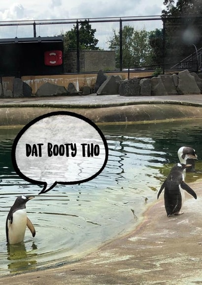 A wise penguin once said.. created by LJ Tries