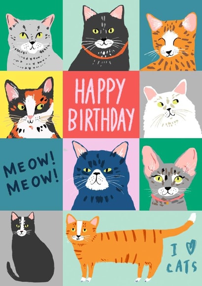 Meow! Meow! Birthday Card created by Sophie Crichton