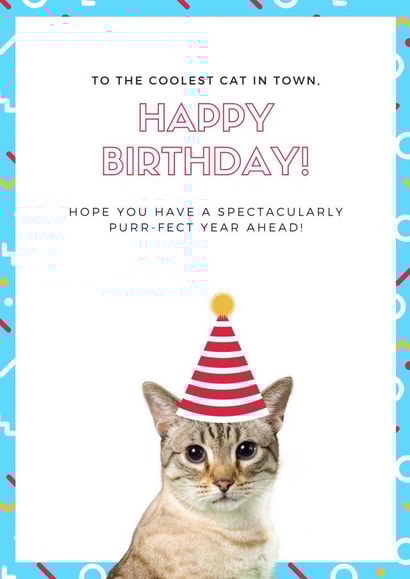 Cat Birthday Card created by Little Owl Designs Co