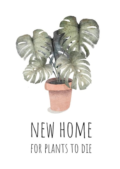 New home for dead plants created by AJ Creations