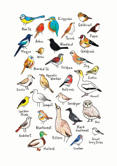 Arty Birthday Card - Birds - Hand Drawn created by Katie Moody