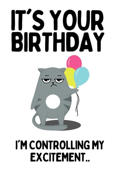 Birthday wishes from the grumpy cat created by Original Fox Cards