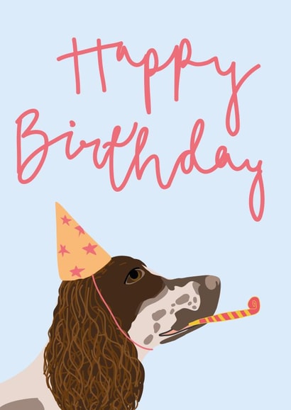 Springer Spaniel Birthday Wishes from The Dog created by Kty.Illustrates