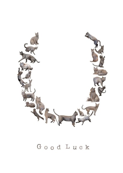 Lucky Cat Luck created by Hannah Seakins