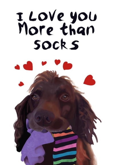 Cute Spaniel Anniversary Card / Valentines Day Card - I Love You More Than Socks created by Yamaste Art