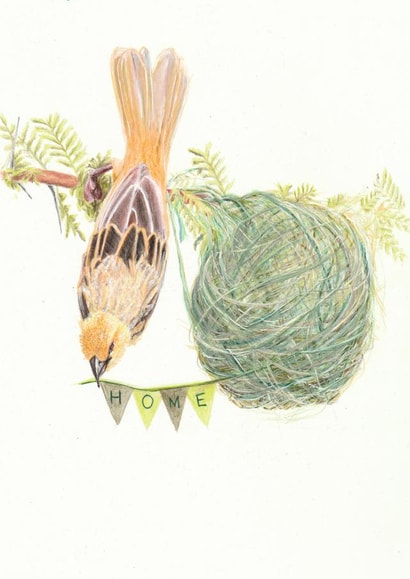 Weaver bird housewarming card created by Allthingsartbybex