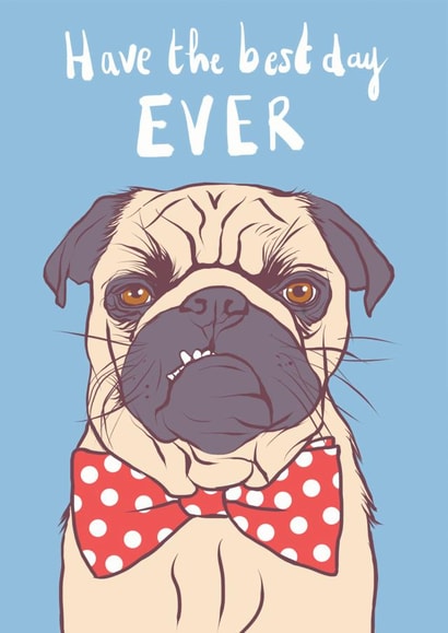 Best Day Ever Pug birthday Card created by Ryan Hodge