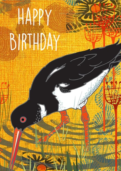 Oyster Catcher Birthday Card created by Rocket68