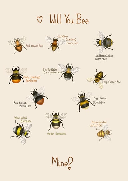 Will you Bee mine - British Bees created by PetitArt