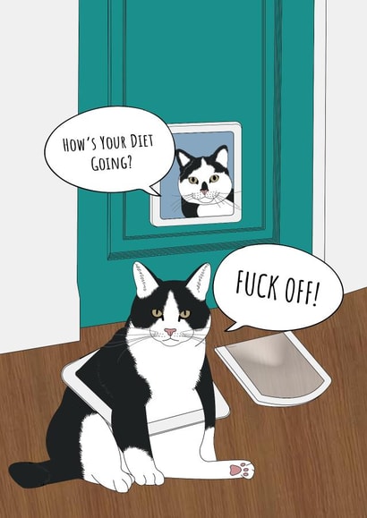 Cheeky Chubby Cat Card created by Rachel Frost