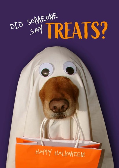 Funny Halloween Trick-or-Treat Dog in Ghost Costume created by Lisa Crisafi