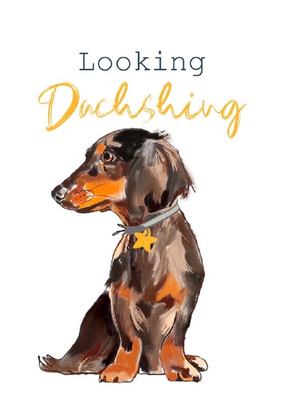 Looking Dachshing  created by Leanne Mullen