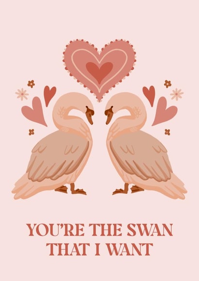 You're the swan that I want created by Beth Wake