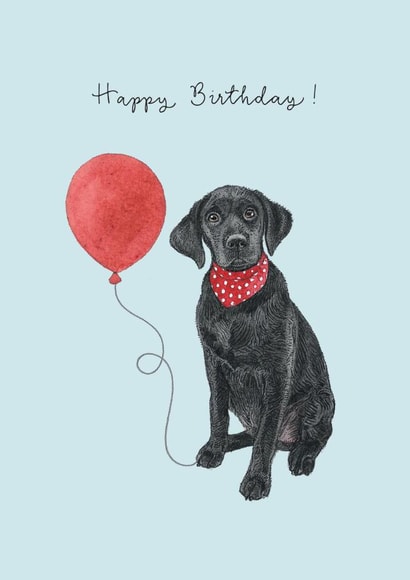 Black Labrador Birthday Card created by Amelia Ilangaratne
