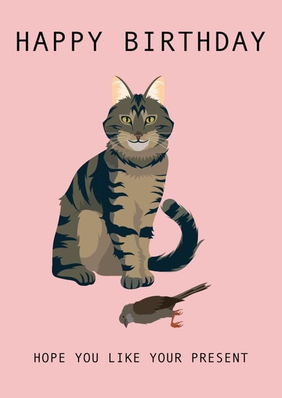 Hope You Like Your Present Cat Birthday Card 1001 created by Taura Designs