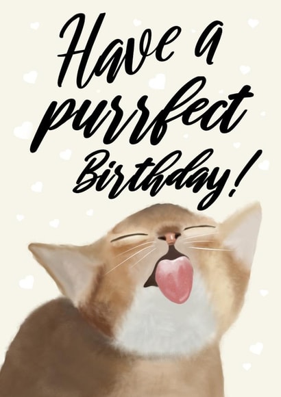 Have a Purrfect Birthday created by onethirtysix_am