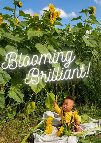 Blooming Brilliant created by EtT21