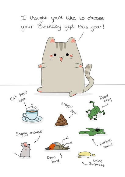 Funny Cat Gift Birthday Card created by Evie Garnett Designs