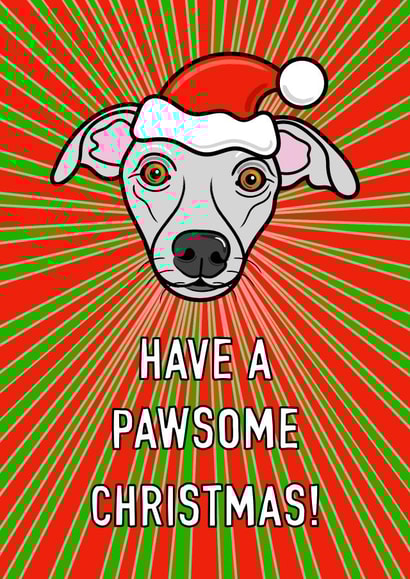Whippet dog Christmas card created by Adam Regester