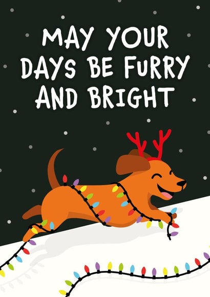May your days be furry and bright created by Kiddy Winks Prints